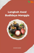 LANGKAH AWAL BUDIDAYA MANGGIS