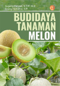 BUDIDAYA TANAMAN MELON