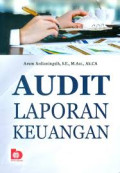 AUDIT LAPORAN KEUANGAN