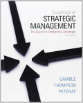 ESSENTIALS OF STRATEGIC MANAGEMENT : The Quest for Competitive Advantage