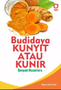 BUDIDAYA KUNYIT ATAU KUNIR REMPAH NUSANTARA