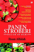 PANEN STROBERI DALAM 60 HARI